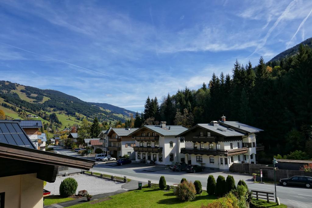 Apartments Niederseer ザールバッハ・ヒンターグレム エクステリア 写真